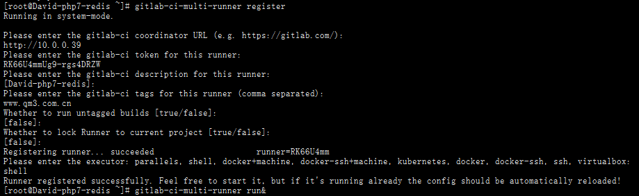 gitlab-runner2.jpg